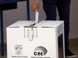 Movimiento Construye se pronuncia sobre anuncio de posible cancelación de parte del CNE | Política | Noticias
