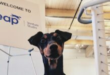 Last call to apply for the accelerator program