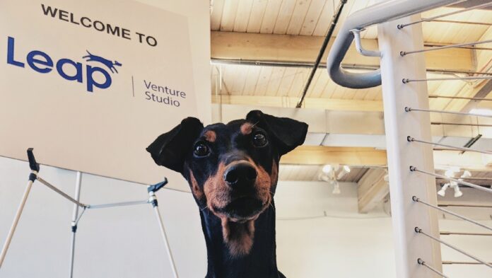 Leap-Venture-Studio-Dog.jpeg