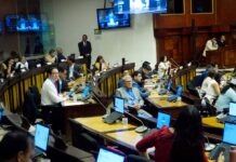 Tres asambleístas correístas enfrentan procesos penales por violación, calumnia y delincuencia organizada | Política | Noticias