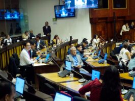 Tres asambleístas correístas enfrentan procesos penales por violación, calumnia y delincuencia organizada | Política | Noticias
