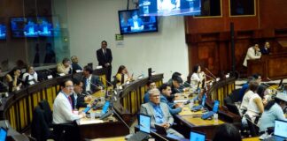 Tres asambleístas correístas enfrentan procesos penales por violación, calumnia y delincuencia organizada | Política | Noticias