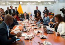 Comisión de Fiscalización gira su agenda hacia la emisión irregular de licencias y matrículas en varios municipios del país