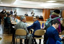 Juez declara ‘improcedente’ pedido realizado por el abogado de Leandro Norero para que se acumulen los casos Metástasis y Plaga | Política | Noticias