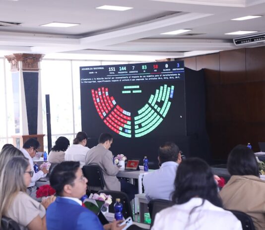 Asamblea Nacional se allanó al veto parcial a la Ley para el Fortalecimiento de la Ciberseguridad | Política | Noticias