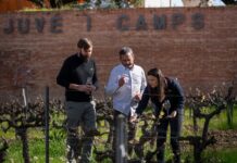 La fuga de la histórica Juvé&Camps agudiza la crisis de ventas y de liderazgo en la Denominación de Origen Cava | Economía