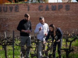 La fuga de la histórica Juvé&Camps agudiza la crisis de ventas y de liderazgo en la Denominación de Origen Cava | Economía