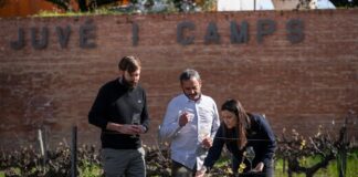 La fuga de la histórica Juvé&Camps agudiza la crisis de ventas y de liderazgo en la Denominación de Origen Cava | Economía