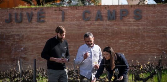La fuga de la histórica Juvé&Camps agudiza la crisis de ventas y de liderazgo en la Denominación de Origen Cava | Economía