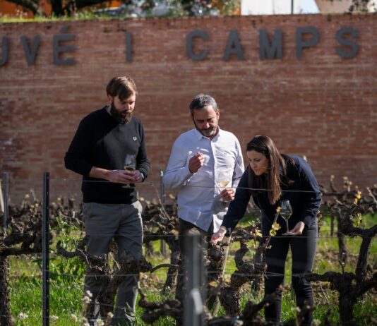 La fuga de la histórica Juvé&Camps agudiza la crisis de ventas y de liderazgo en la Denominación de Origen Cava | Economía