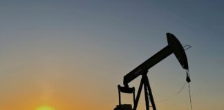 La AIE anuncia la liberación inmediata de las primeras reservas estratégicas de petróleo | Economía