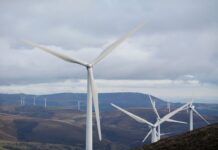 Que la fuerza te acompañe