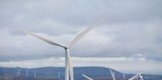 Que la fuerza te acompañe