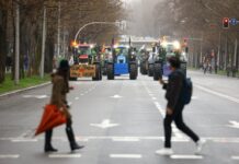 Mercosur: no es proteccionismo gratuito, es seguridad alimentaria | Opinión