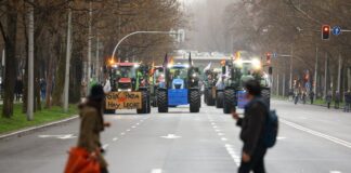 Mercosur: no es proteccionismo gratuito, es seguridad alimentaria | Opinión