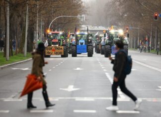 Mercosur: no es proteccionismo gratuito, es seguridad alimentaria | Opinión