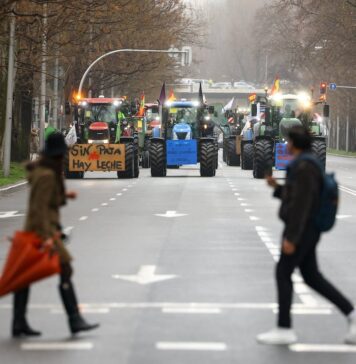 Mercosur: no es proteccionismo gratuito, es seguridad alimentaria | Opinión