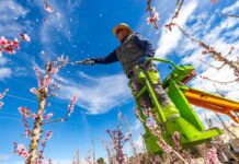 El campo afronta un sobrecoste de 2,4 millones al día por el conflicto en Oriente Próximo | Economía