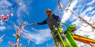 El campo afronta un sobrecoste de 2,4 millones al día por el conflicto en Oriente Próximo | Economía