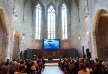 la vulnerabilidad como fuerza transformadora