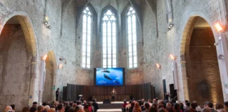 la vulnerabilidad como fuerza transformadora