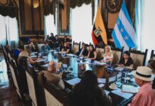 Legalidad de la subrogación de Tatiana Coronel en la Alcaldía de Guayaquil divide al Concejo Cantonal: esto dicen varios concejales sobre decisión | Comunidad | Guayaquil