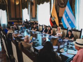 Legalidad de la subrogación de Tatiana Coronel en la Alcaldía de Guayaquil divide al Concejo Cantonal: esto dicen varios concejales sobre decisión | Comunidad | Guayaquil