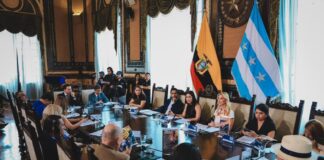 Legalidad de la subrogación de Tatiana Coronel en la Alcaldía de Guayaquil divide al Concejo Cantonal: esto dicen varios concejales sobre decisión | Comunidad | Guayaquil