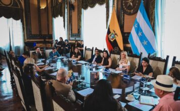 Legalidad de la subrogación de Tatiana Coronel en la Alcaldía de Guayaquil divide al Concejo Cantonal: esto dicen varios concejales sobre decisión | Comunidad | Guayaquil