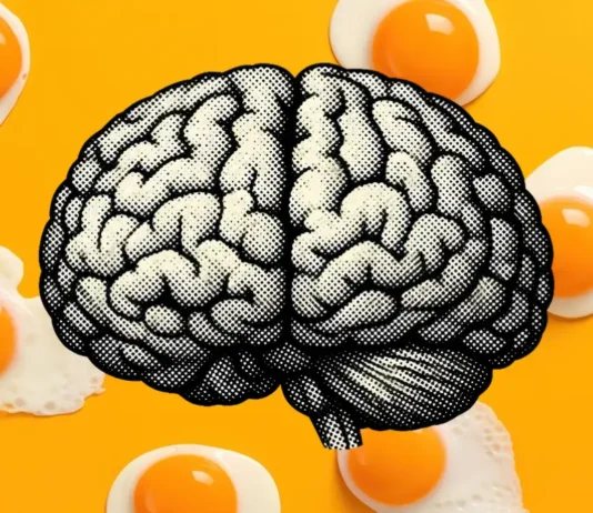 La IA y sus paradojas: cuando la profusión de herramientas termina friendo el cerebro