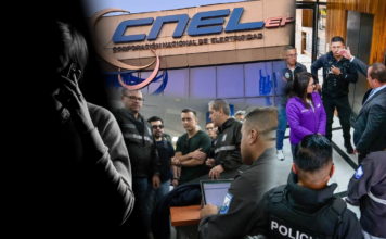 Hay tres investigaciones previas abiertas por presunta red de corrupción en CNEL, según informe remitido a la Asamblea | Política | Noticias