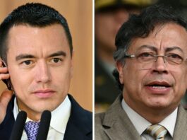 Noboa responde a Petro su comentario sobre Glas: ‘En la cárcel hay un corrupto que debe responder al Ecuador’ | Política | Noticias