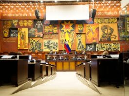 Asamblea Nacional: cuatro iniciativas populares se presentaron en la última década legislativa, una fue archivada