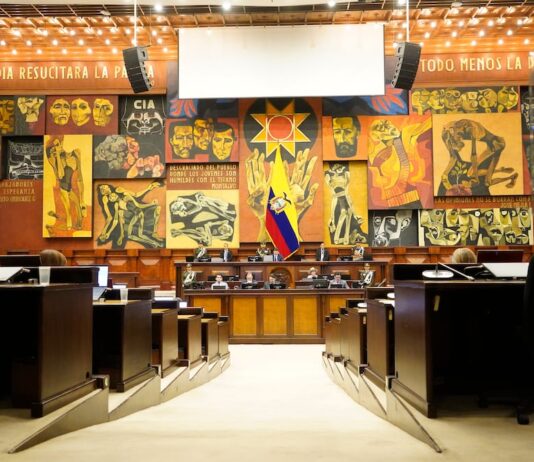 Asamblea Nacional: cuatro iniciativas populares se presentaron en la última década legislativa, una fue archivada