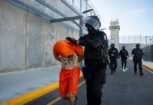 Así se clasificará a los presos y las cárceles según la Ley para fortalecer el sistema penitenciario que se publicará en el Registro Oficial | Política | Noticias