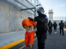 Así se clasificará a los presos y las cárceles según la Ley para fortalecer el sistema penitenciario que se publicará en el Registro Oficial | Política | Noticias