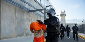 Así se clasificará a los presos y las cárceles según la Ley para fortalecer el sistema penitenciario que se publicará en el Registro Oficial | Política | Noticias
