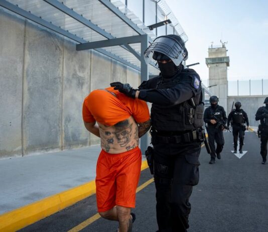 Así se clasificará a los presos y las cárceles según la Ley para fortalecer el sistema penitenciario que se publicará en el Registro Oficial | Política | Noticias