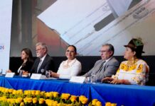 Elección de vocales del Consejo Nacional Electoral nuevamente se frena: examinarán las acciones de la comisión ciudadana | Política | Noticias