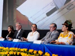 Elección de vocales del Consejo Nacional Electoral nuevamente se frena: examinarán las acciones de la comisión ciudadana | Política | Noticias