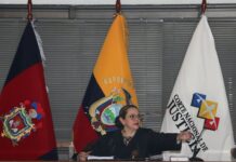 Caso Liga2: jueza llama a juicio a Andrés Arauz, Augusto Verduga, Esther Cuesta, Nicole Bonifaz y tres procesados más por asociación ilícita | Política | Noticias