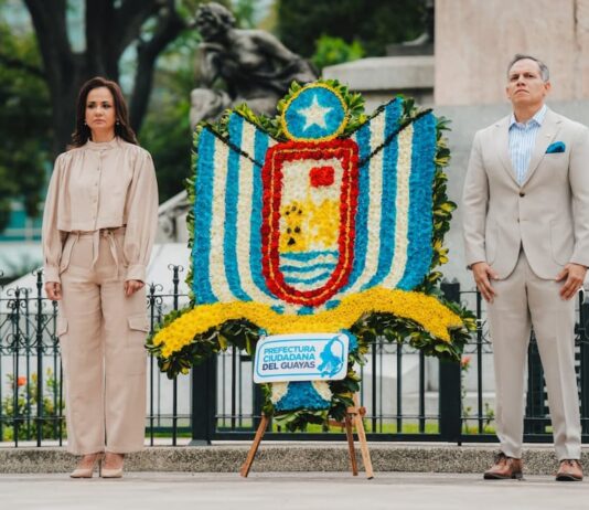 Carlos Serrano renuncia a la Viceprefectura del Guayas | Política | Noticias