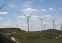 Transición Ecológica deniega el permiso a tres parques eólicos en Burgos por impacto ambiental | Empresas