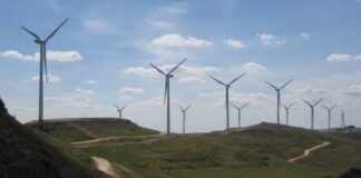 Transición Ecológica deniega el permiso a tres parques eólicos en Burgos por impacto ambiental | Empresas