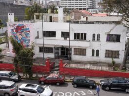 Correísmo, sin casillero, impulsa desafiliaciones en ‘estampida’ como parte de su estrategia política | Política | Noticias