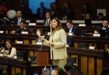 Asamblea Nacional fiscalizará sector eléctrico y cortes programados | Política | Noticias