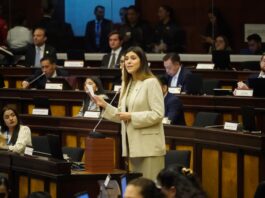 Asamblea Nacional fiscalizará sector eléctrico y cortes programados | Política | Noticias