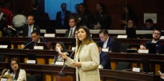 Asamblea Nacional fiscalizará sector eléctrico y cortes programados | Política | Noticias
