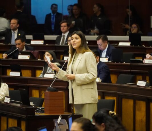 Asamblea Nacional fiscalizará sector eléctrico y cortes programados | Política | Noticias