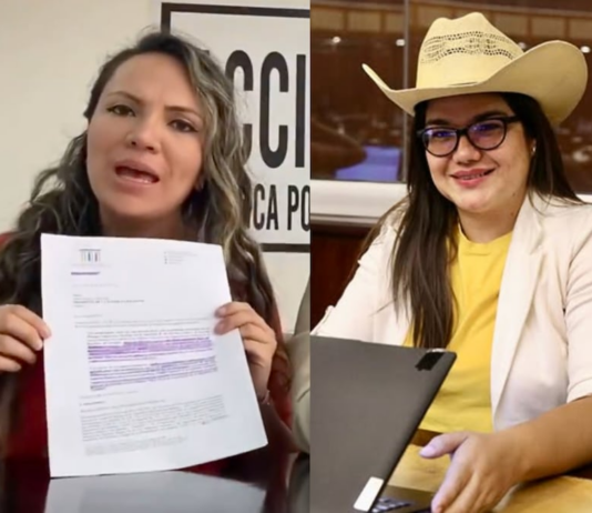 CAL niega pedido de Priscila Schettini para habilitarla en la Asamblea Nacional y ratifica a la legisladora Annie Muñoz | Política | Noticias